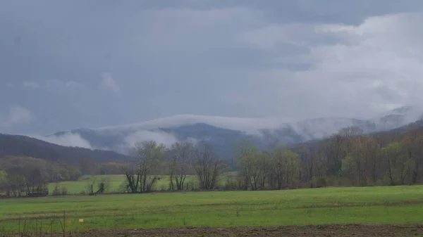 Uma Grande Clareira Verde Perto Floresta Tempo Nebuloso Após Chuva — Fotografia de Stock