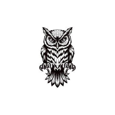 el çizimi bir baykuşun siyah beyaz çizimi