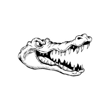 El çizimi vektör timsah başı illüstrasyonu