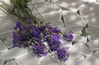 Açılış gölgesinde gri taşların üzerinde bir demet lavanta yatıyor..