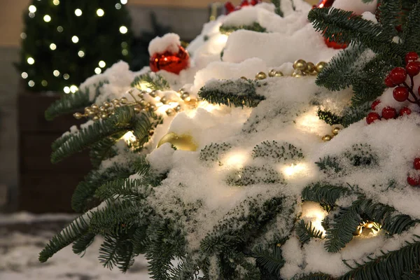Vánoční Pouliční Dekorace Červenými Bobulemi Jedlovými Větvemi Girlandami Pokrytými Sněhem — Stock fotografie