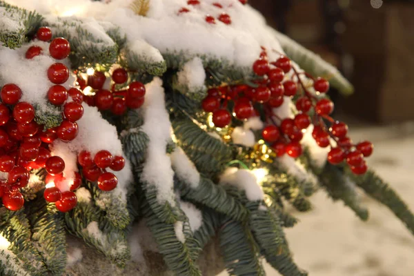 Rami Abete Bacche Rosse Natale All Aperto Ricoperti Neve — Foto Stock