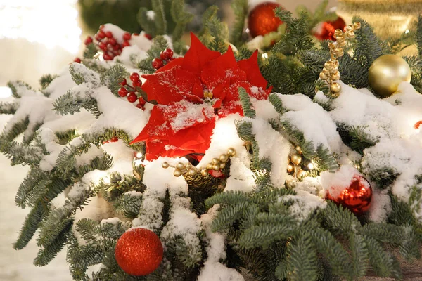 Tannenzweige Und Rote Blumen Für Weihnachten Freien Mit Schnee Bedeckt — Stockfoto