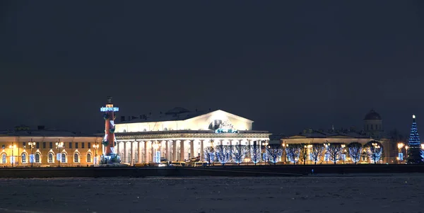 Красивое Здание Берегу Невы Санкт Петербурге — стоковое фото