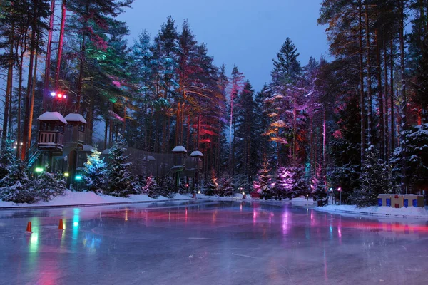 Arbres dans la forêt avec des lumières vives réfléchies dans la patinoire Photos De Stock Libres De Droits