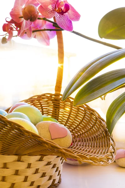 Easter eggs in a basket, stone heart, flowering Orchid