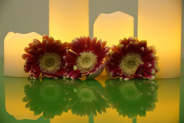 Three Gerbera and electric candles on the green table — Stock Photo, Image
