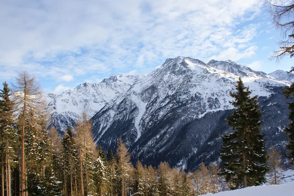 La montaña en la nieve, cielo con nubes, abeto cubierto de nieve — Foto de Stock