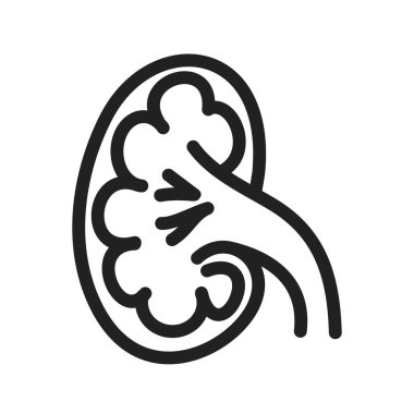 Böbrek, organ, vücut parçası simgesi. Sağlık ve sağlık hizmetleri için de kullanılabilir. Web uygulamaları, mobil uygulamalar ve yazdırma ortamları için elverişli.