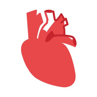Kırmızı insan kalp