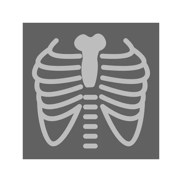 Lungs X ray — Stock Vector