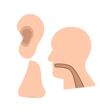 Ear, Nose, Throat icon