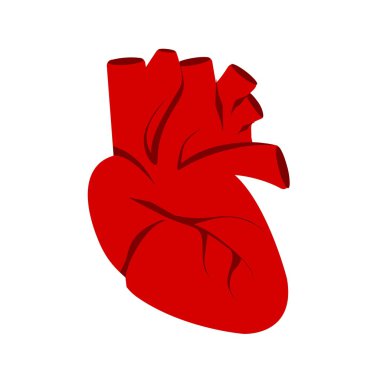 insan kalp simgesi