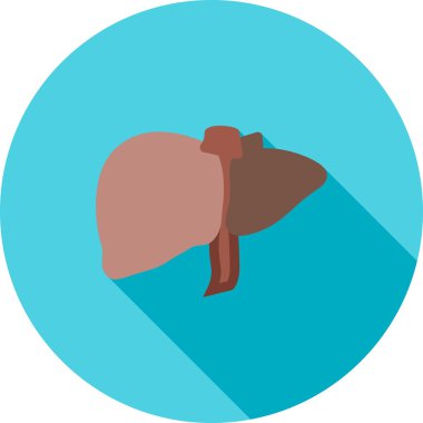 Human Liver, medicine icon