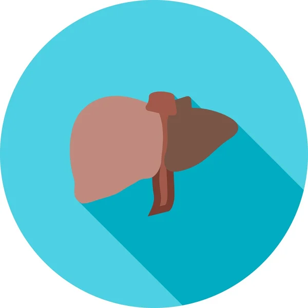 Human Liver, medicine icon — Stock Vector