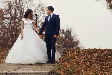 Romantik yeni evli çift elele