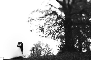 Fairytale Romantik Çift