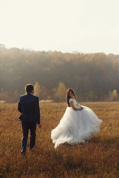 Feliz pareja recién casada correr y posar —  Fotos de Stock