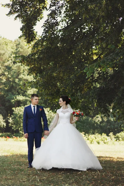 Happy couple of newlyweds — Stock Photo, Image