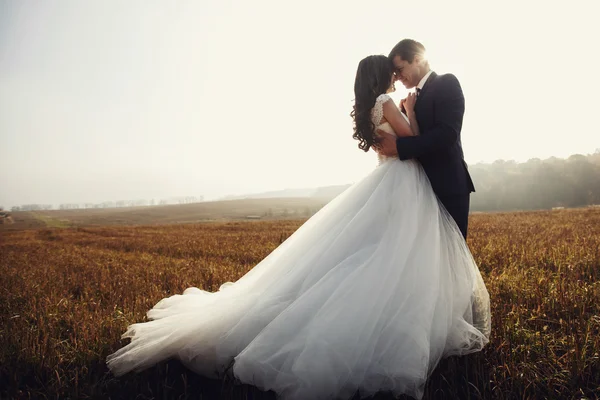 Romantic fairytale newlywed couple hug — Stock Photo, Image