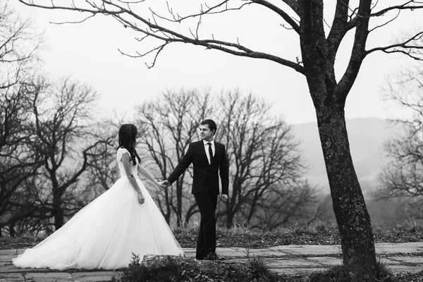 Lycklig nygift par hålla händer — Stockfoto