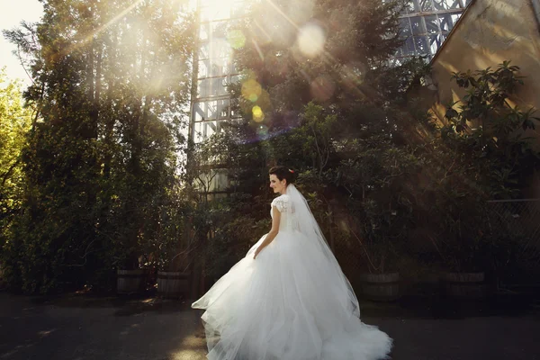 Vackra romantiska bruden i vit klänning — Stockfoto
