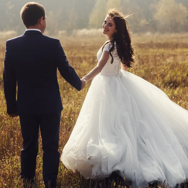 Glückliches Brautpaar hält Händchen — Stockfoto