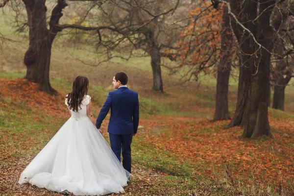 Nygifta brudparet håller hand — Stockfoto