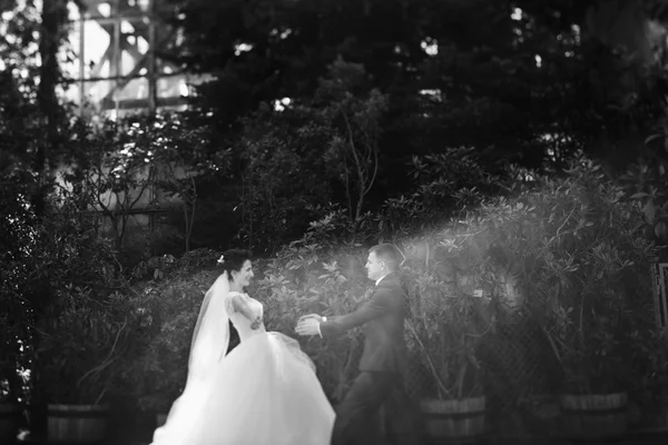 Felice bella sposa in esecuzione — Foto Stock