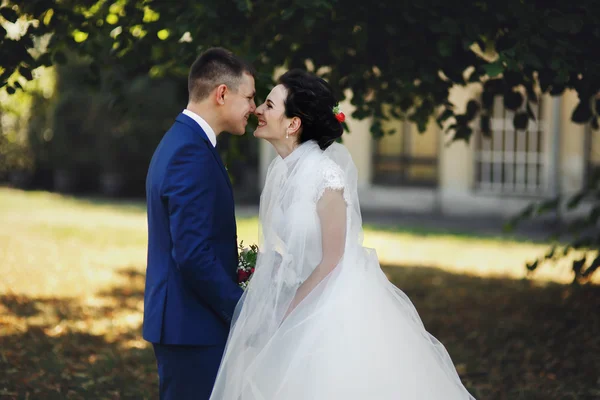 Casal de recém-casados, noiva e noivo — Fotografia de Stock