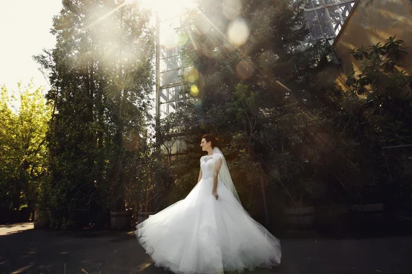 Beautiful romantic bride in white dress — Stock Photo, Image