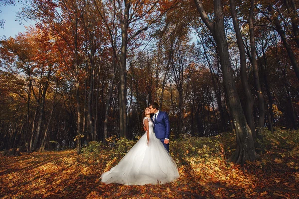 Šťastný novomanželský pár objímání — Stock fotografie