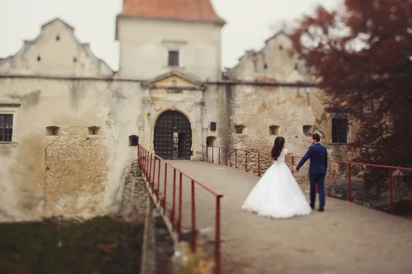 Romántica pareja de recién casados tomados de la mano — Foto de Stock