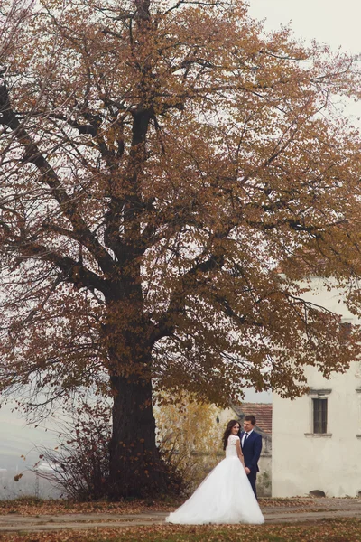 Nádherný romantický pár novomanželů — Stock fotografie