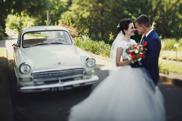 Casal romântico, noiva e noivo — Fotografia de Stock