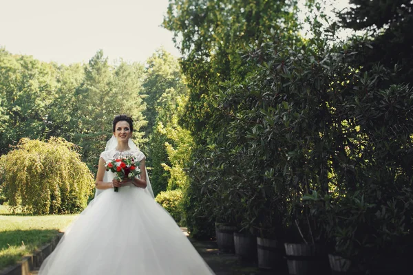 Schöne romantische Braut im weißen Kleid — Stockfoto