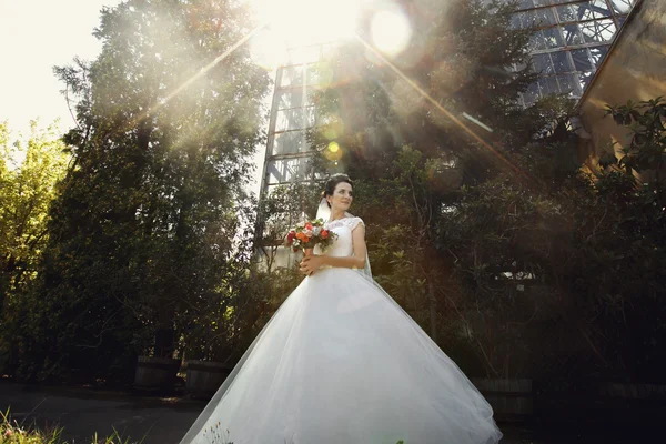 Hermosa novia romántica en vestido blanco — Foto de Stock