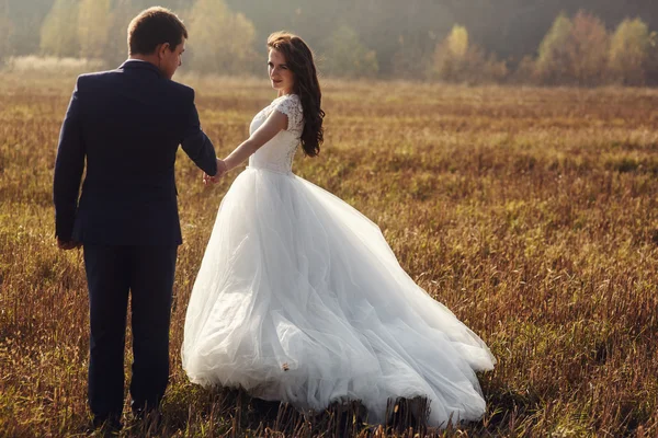 Feliz pareja de recién casados tomados de la mano —  Fotos de Stock