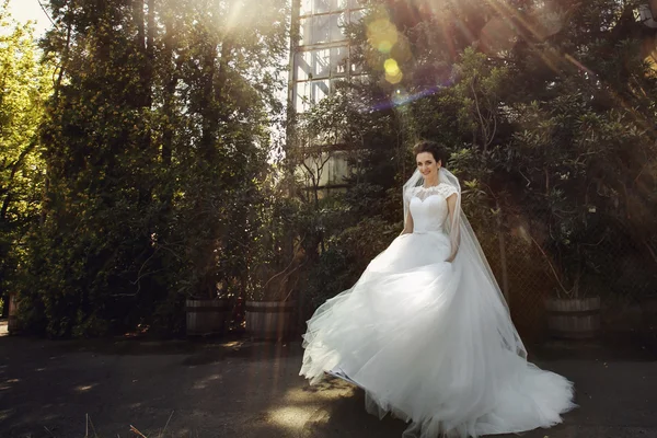 Belle mariée romantique en robe blanche — Photo