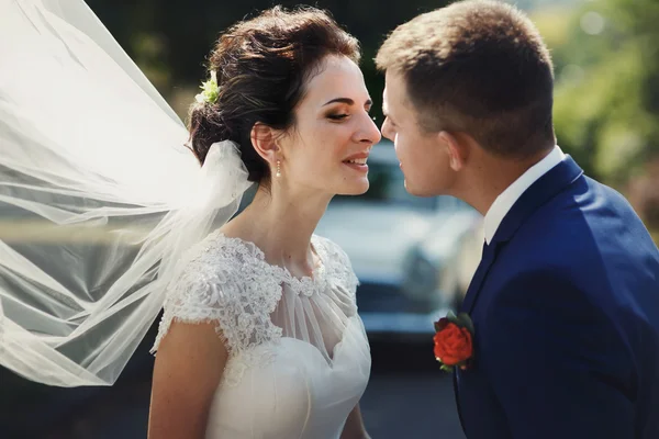 Noiva e noivo beijando no parque — Fotografia de Stock