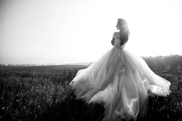 Όμορφη μελαχρινή νύφη σε λευκό φόρεμα — Φωτογραφία Αρχείου