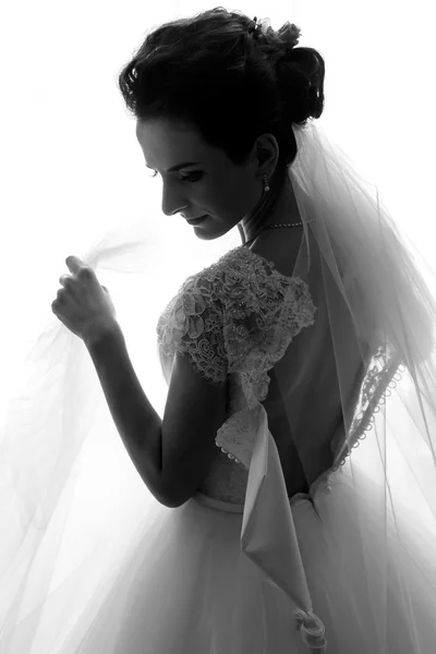 Splendida sposa bruna in posa — Foto Stock