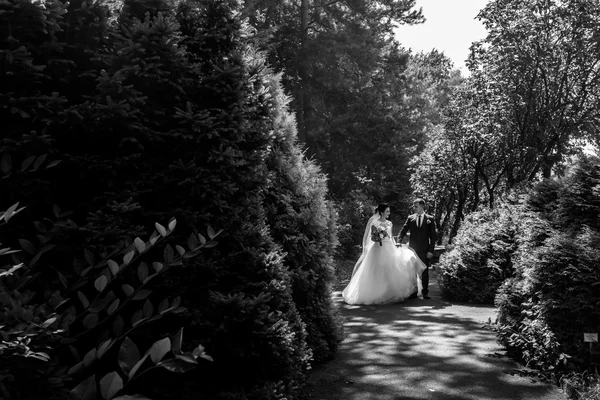 Romantik güzel yeni evli çift