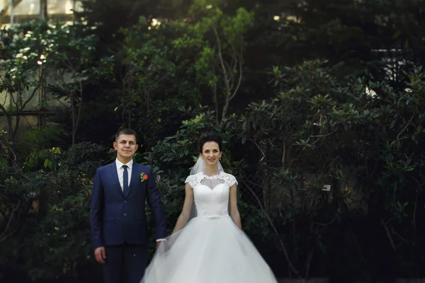 Casal feliz de recém-casados — Fotografia de Stock