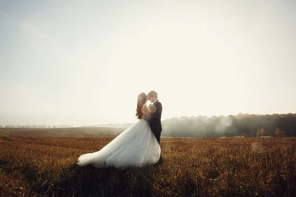 Romantic fairytale newlywed couple hug — Stock Photo, Image