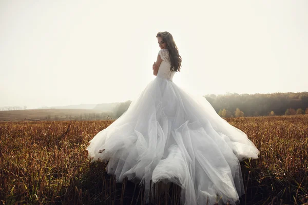 Beautiful brunette bride in white dress — Stock Photo, Image