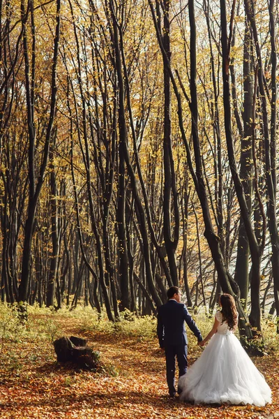 Romantische jonggehuwde paar hand in hand — Stockfoto