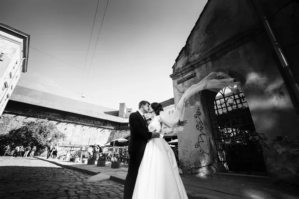 Sensual casal recém-casado abraçando — Fotografia de Stock