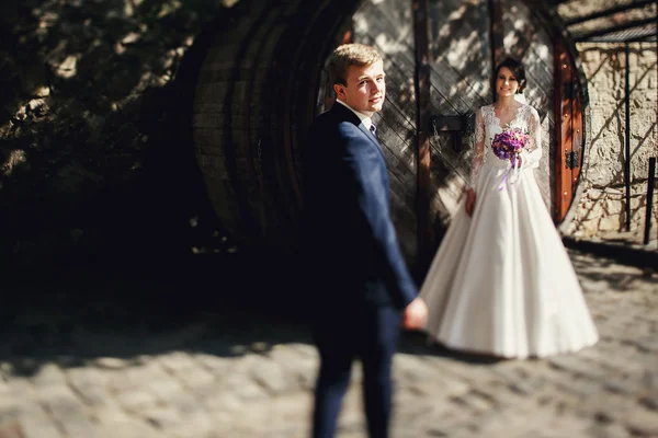 美しいブルネットの花嫁とハンサムな新郎 — ストック写真