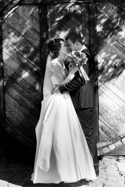 美丽的黑发新娘和新郎英俊 — 图库照片